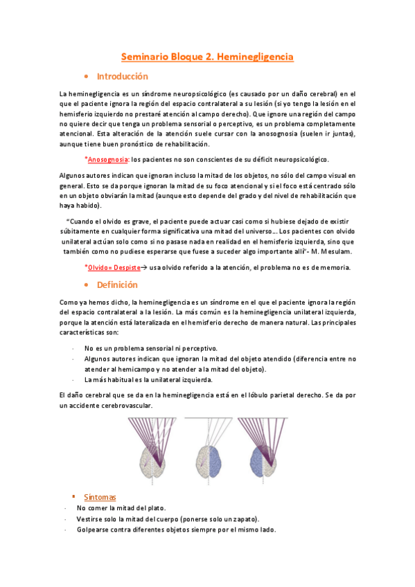 Miniatura del documento Seminario-Bloque-2-Heminegligencia.pdf