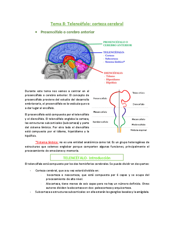 Miniatura del documento 8.pdf