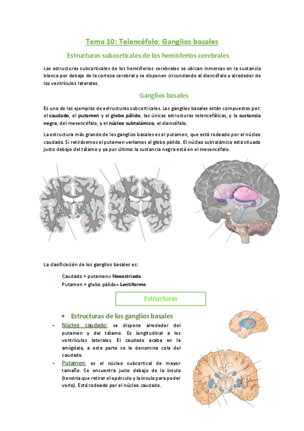 Miniatura del documento 10.pdf