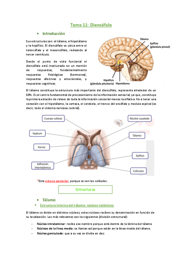 Miniatura del documento 11.pdf