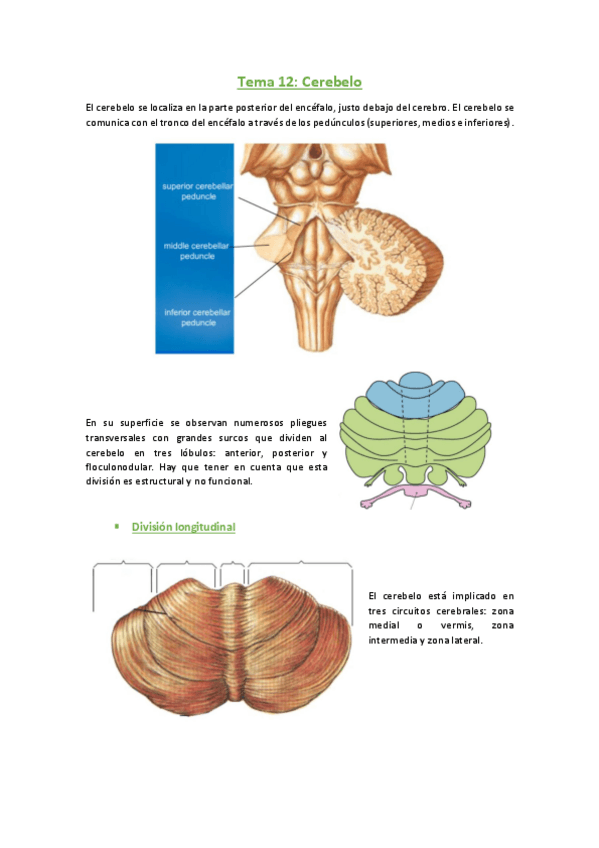 Miniatura del documento 12.pdf