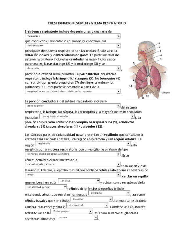 Miniatura del documento 9.pdf