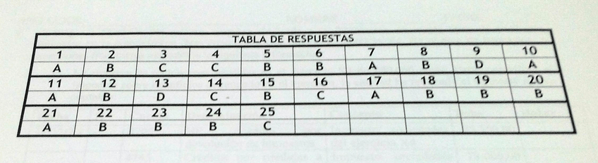 Miniatura del documento CAM01374.jpg