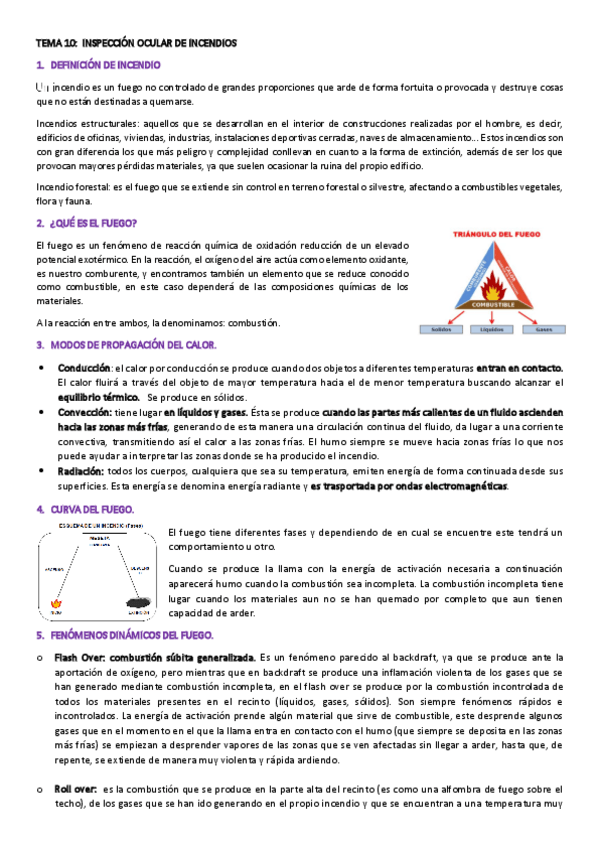 Miniatura del documento 10.pdf