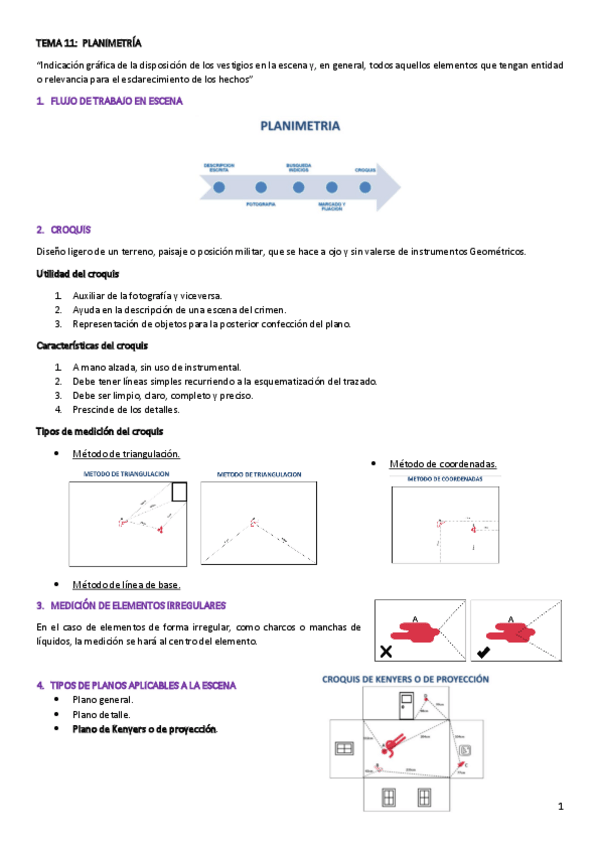 Miniatura del documento 11.pdf