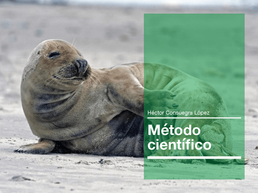 Miniatura del documento METODO-CIENTIFICO.pdf