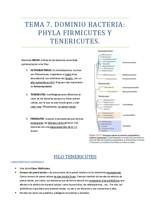 Miniatura del documento TEMA-7.pdf