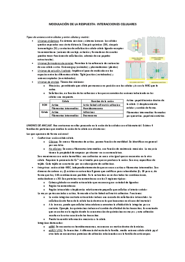 Miniatura del documento 6-MODULACION-DE-LA-RESPUESTA-INTERACCIONES-CELULARES.pdf
