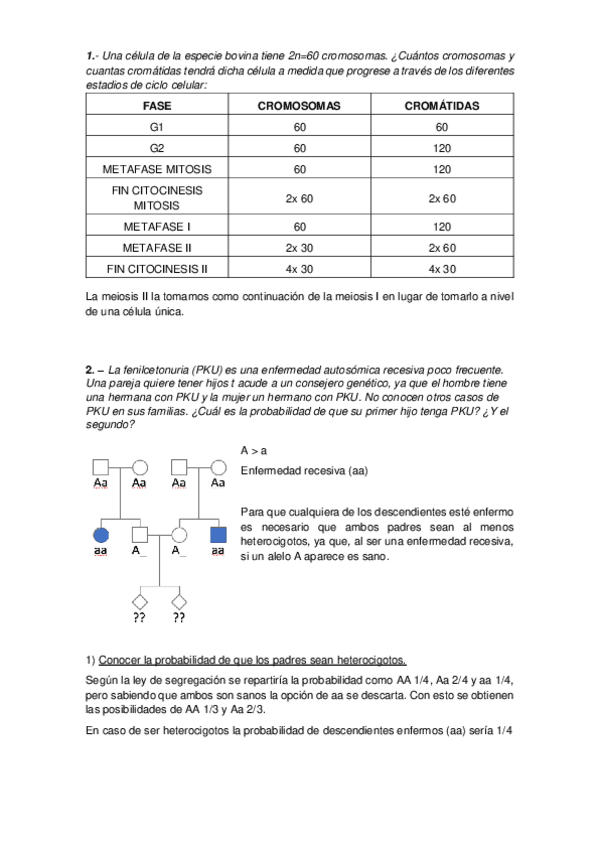 Miniatura del documento Problema-Genetcia.pdf