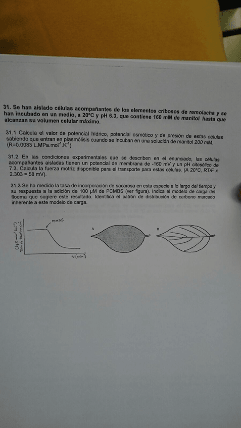 Miniatura del documento WhatsApp-Image-2020-01-22-at-01.jpg