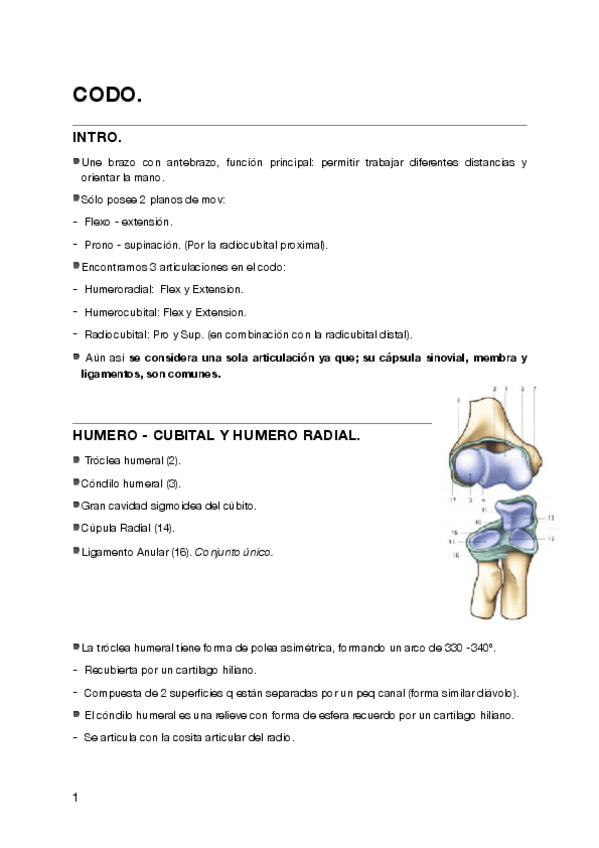 Miniatura del documento Codo-Y-MUNECA.pdf