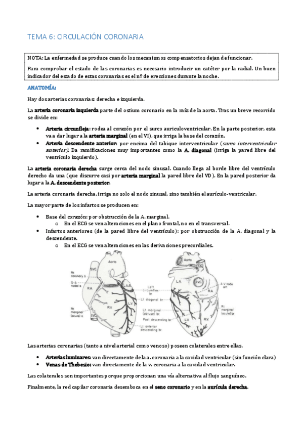 Miniatura del documento TEMA 6.pdf