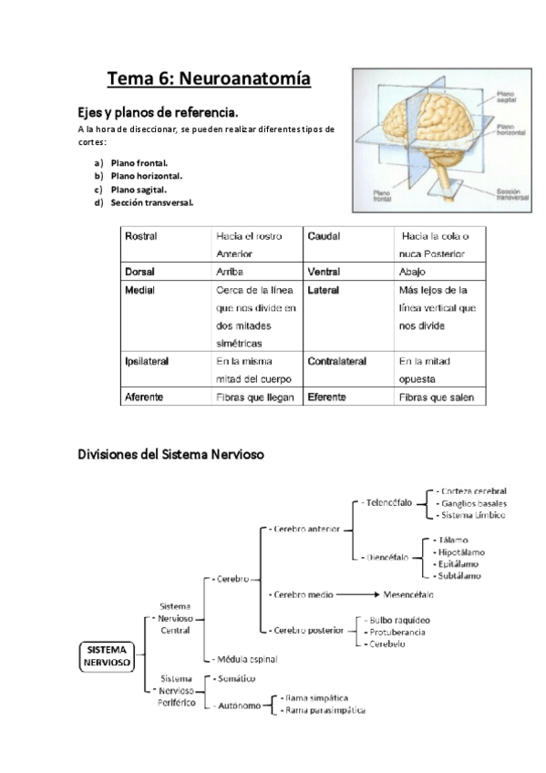 Miniatura del documento Tema-6-parte-I.pdf