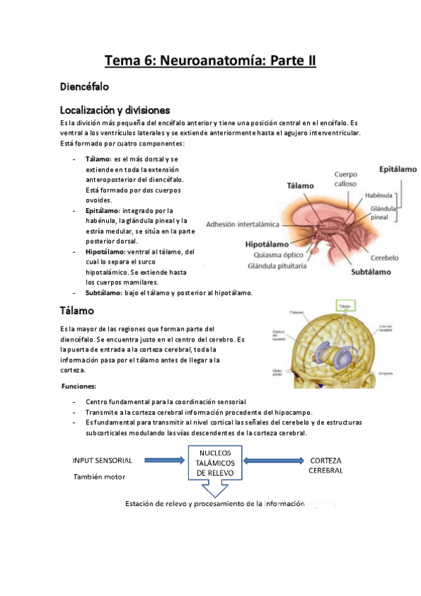 Miniatura del documento Tema-6-parte-II.pdf