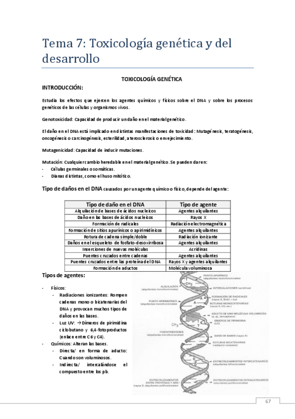 Miniatura del documento tema8.pdf