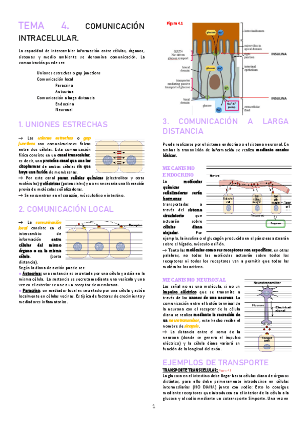 Miniatura del documento TEMA-4.pdf