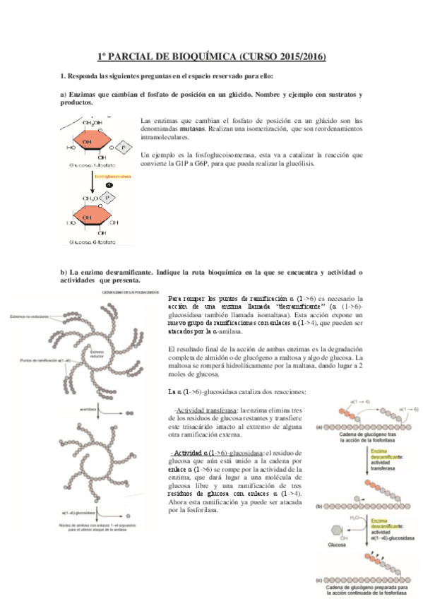 Miniatura del documento 2016-1o-PARCIAL-DE-BIOQUIMICA-1.pdf