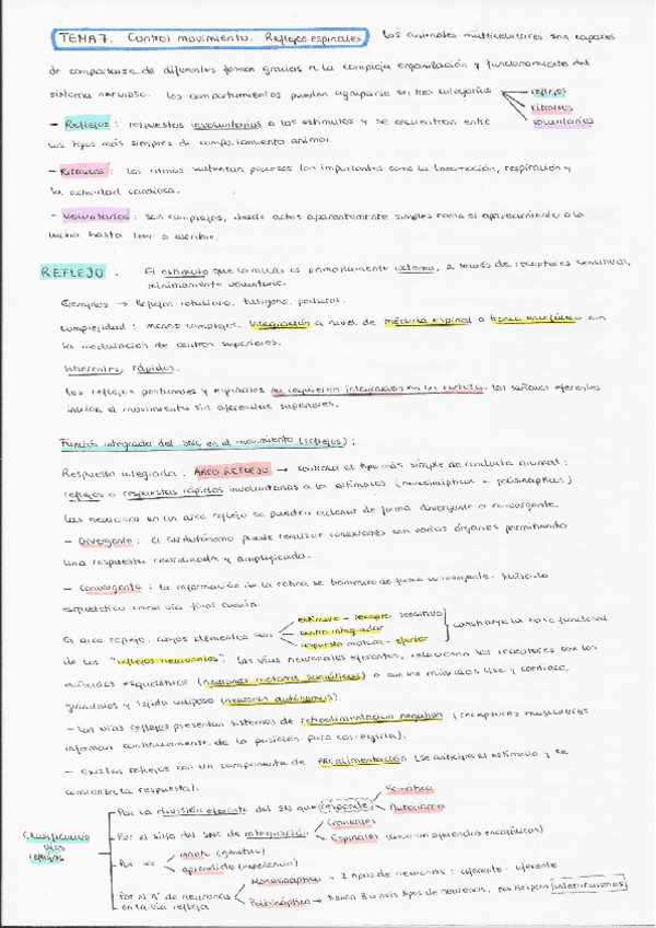 Miniatura del documento T7.pdf