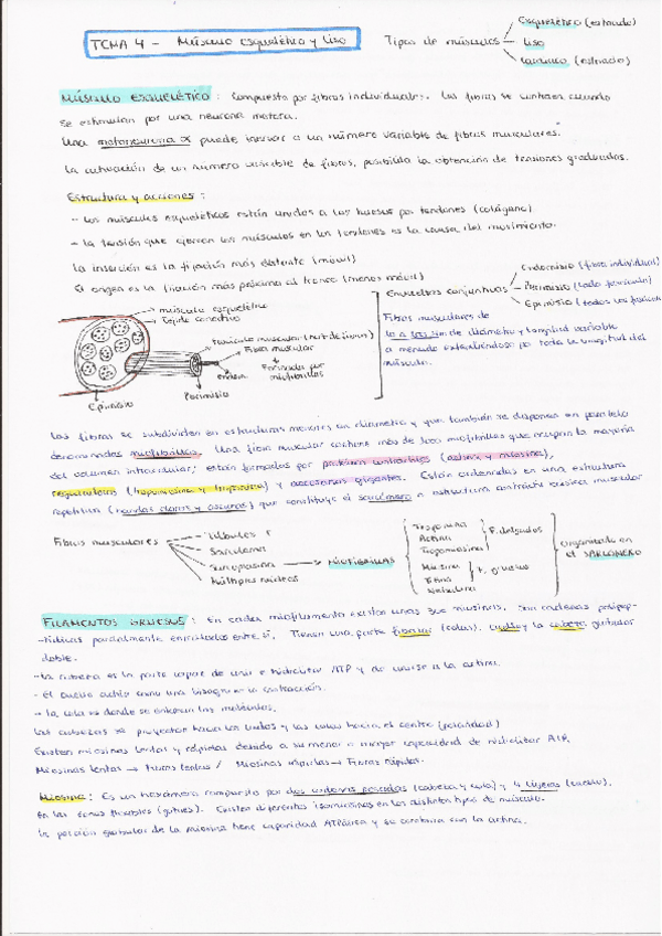 Miniatura del documento T4.pdf