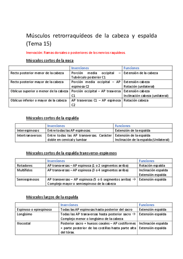 Miniatura del documento Tabla-de-musculos.pdf