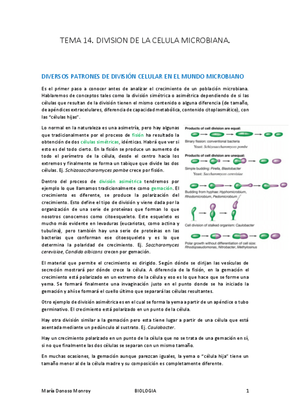 Miniatura del documento MICRO-I-T.pdf