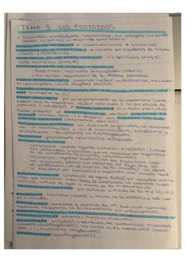 Miniatura del documento T3-ZOO.pdf