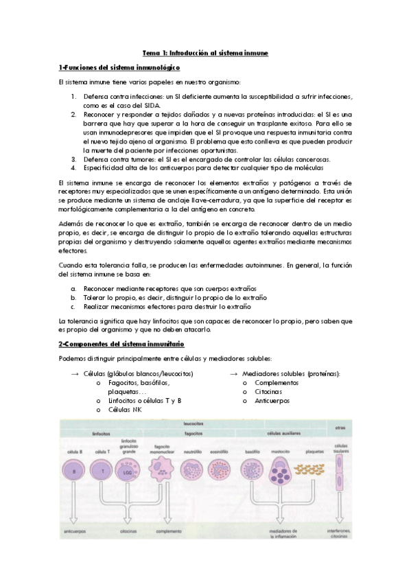 Miniatura del documento tema1introalSI.pdf