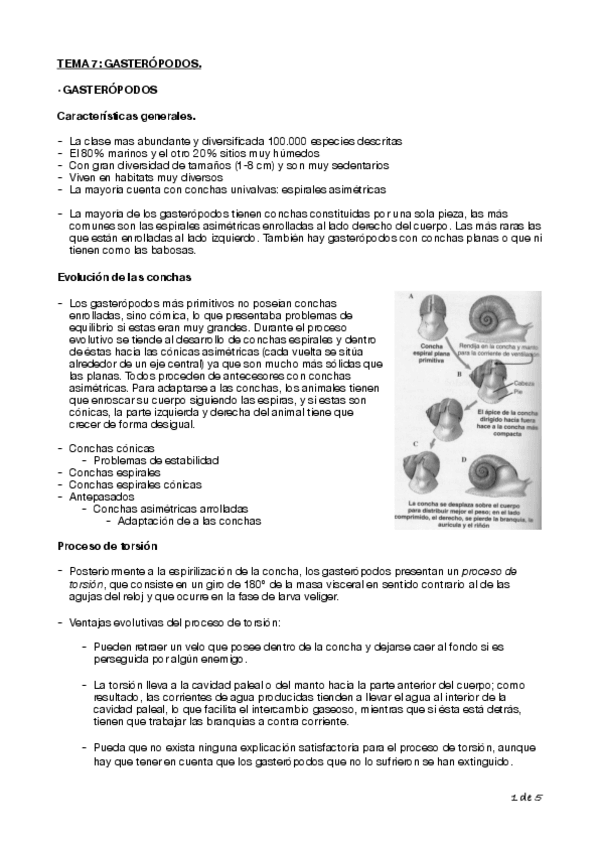 Miniatura del documento Tema-7-Biologia-Cyta-1o.pdf