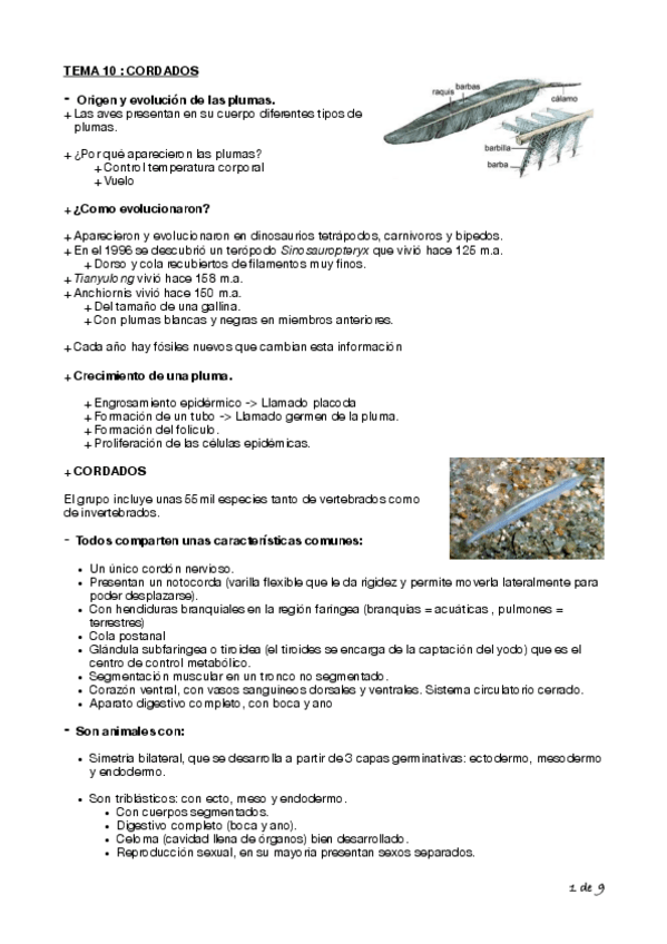 Miniatura del documento Tema-10-Biologia-Cyta-1o.pdf