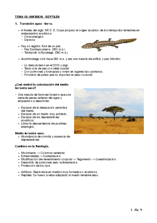 Miniatura del documento Tema-12-Biologia-Cyta-1o.pdf