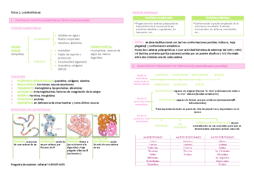 Miniatura del documento TEMA 2. Las proteinas.pdf