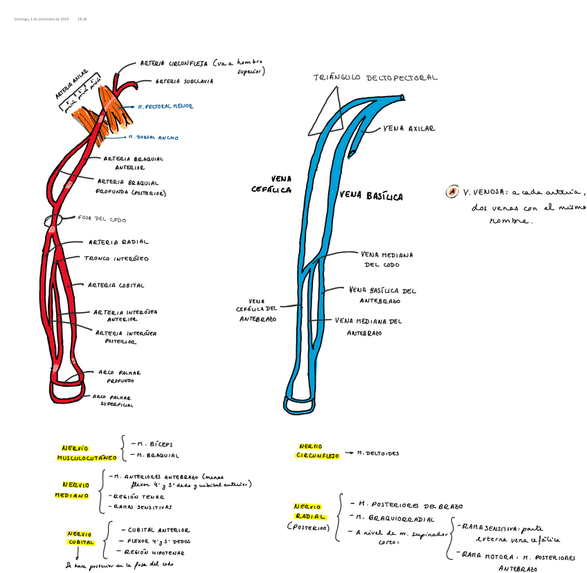 Miniatura del documento Pagina-sin-titulo.pdf