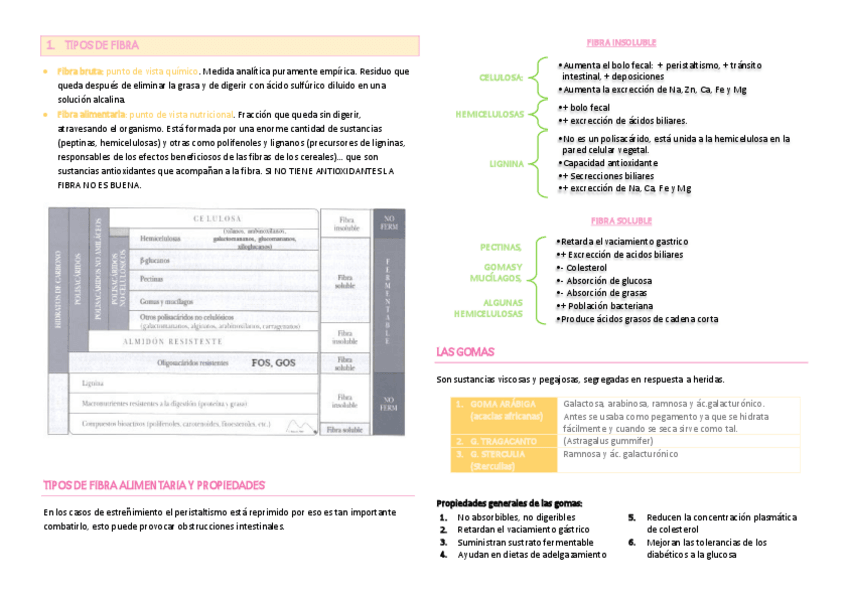 Miniatura del documento TEMA 5. La fibra alimentaria.pdf