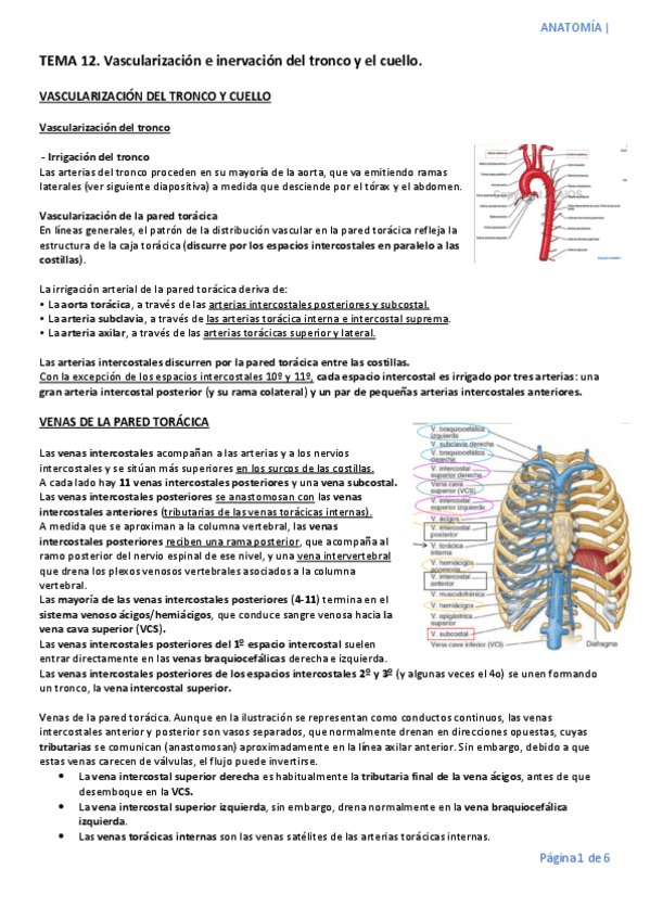 Miniatura del documento TEMA-12.pdf