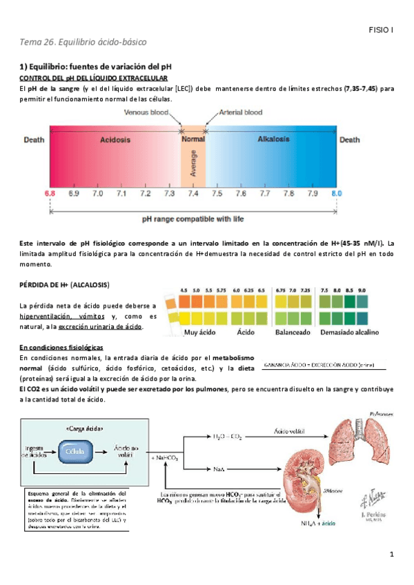 Miniatura del documento Tema-26.pdf