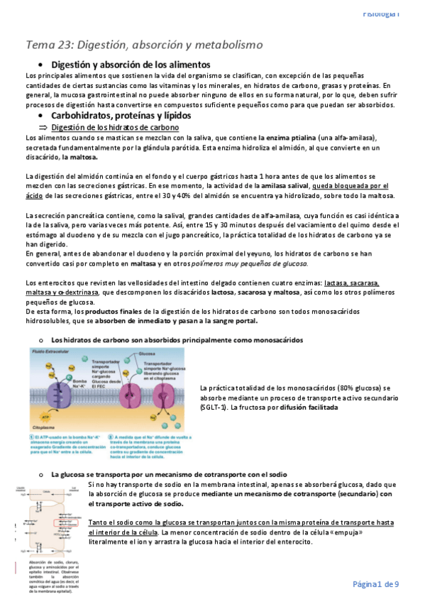 Miniatura del documento Tema-23.pdf