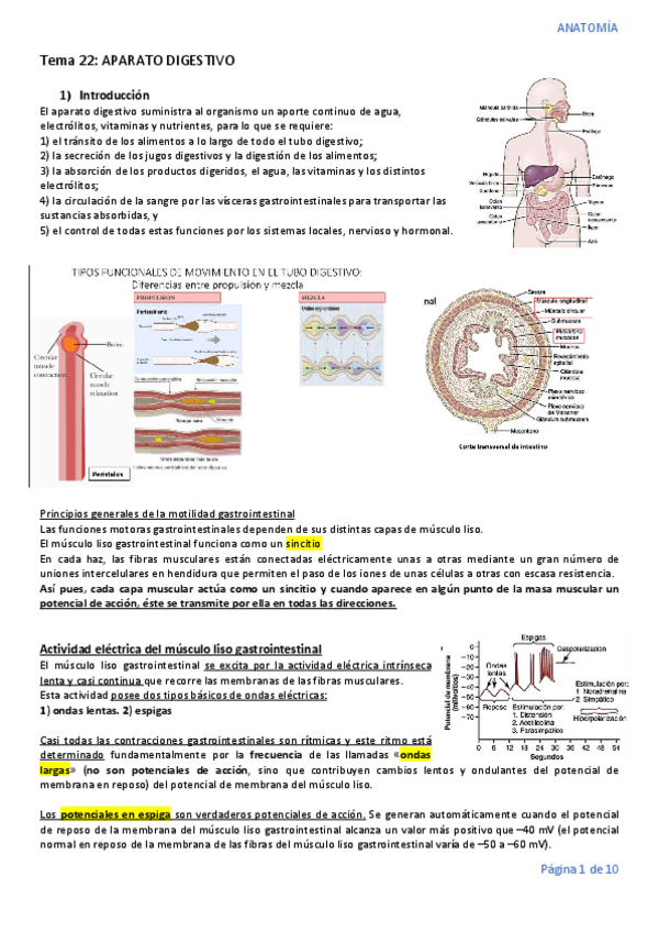 Miniatura del documento Tema-22.pdf