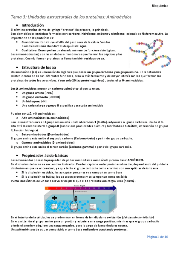 Miniatura del documento tema-3-acido-convertido-1.pdf