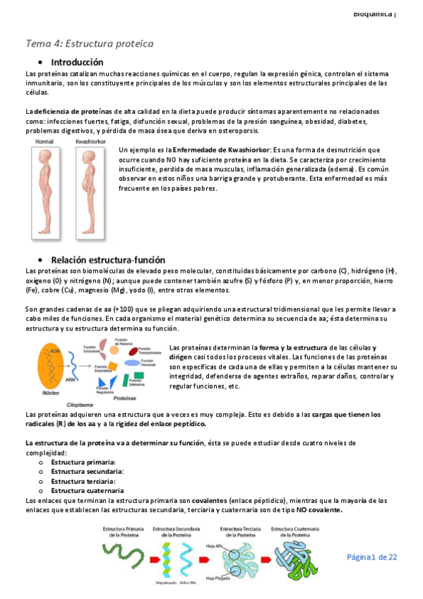 Miniatura del documento Tema-4.pdf