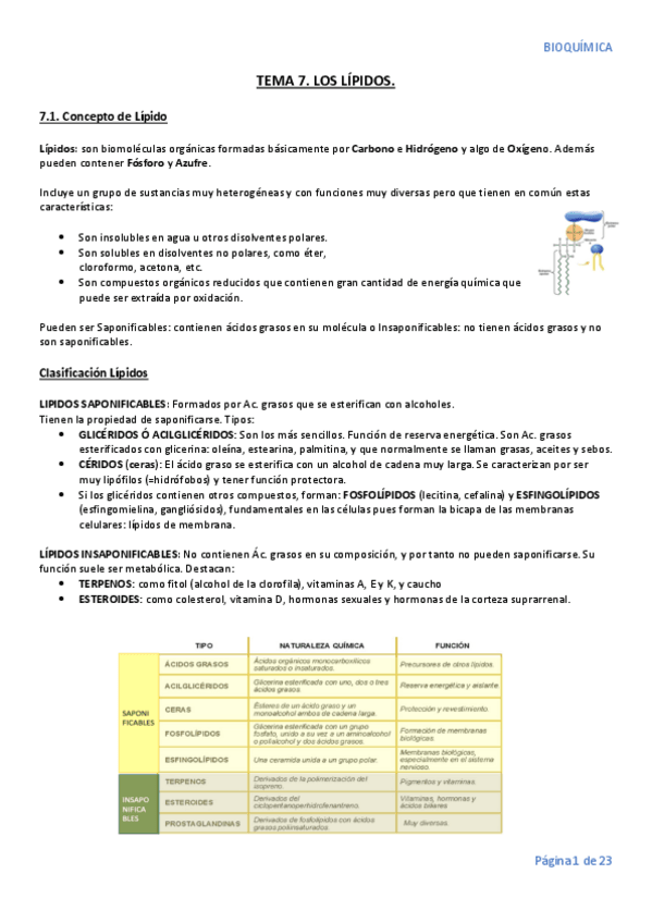 Miniatura del documento TEMA-7.pdf