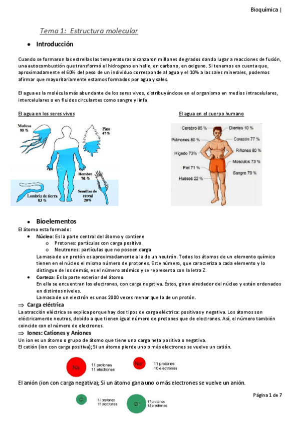 Miniatura del documento Tema-1-bioquimica-1.pdf