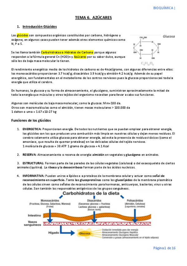 Miniatura del documento TEMA-6.pdf