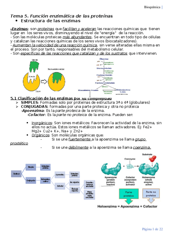 Miniatura del documento Tema-5.docx