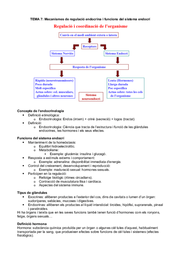 Miniatura del documento Tema 7 - Mecanismes de regulació endocrina i funcions del sistema endocrí.pdf