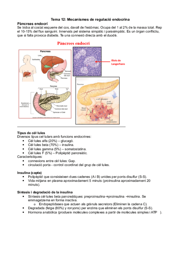 Miniatura del documento Tema 12 - Mecanismes de regulació endocrina.pdf