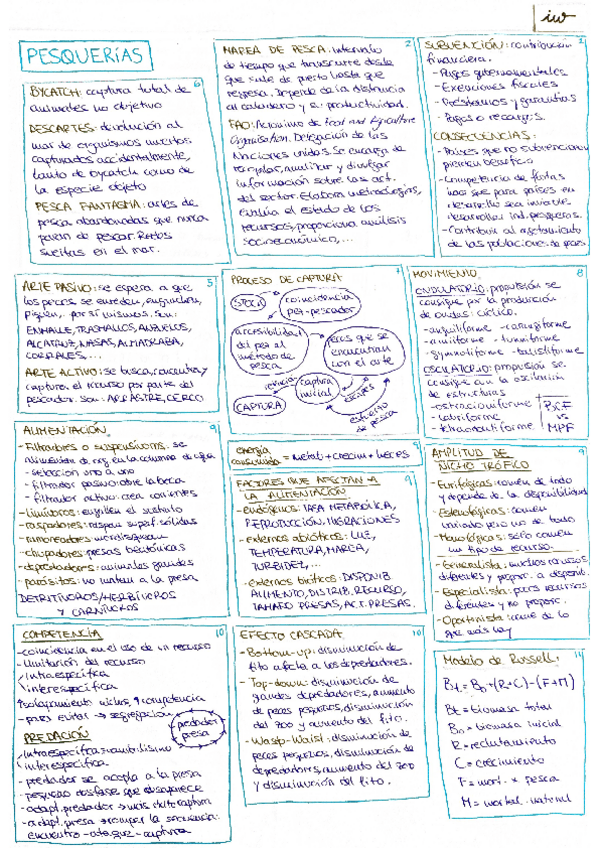 Miniatura del documento PESQConceptosClave.pdf