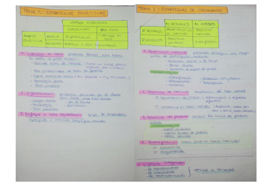 Miniatura del documento RESUMEN-PARA-PRACTICA.pdf