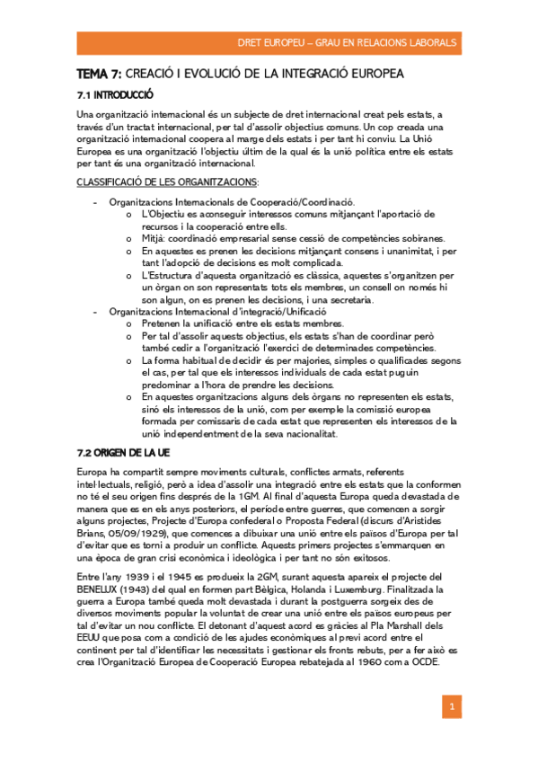 Miniatura del documento DRET-EUROPEU.pdf
