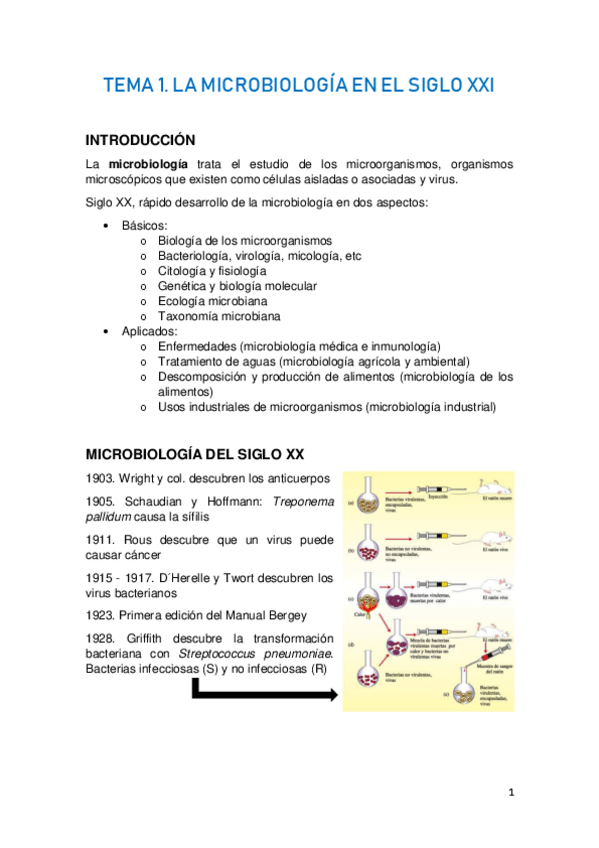 Miniatura del documento TEMA-1.pdf