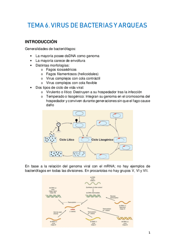 Miniatura del documento TEMA-6.pdf